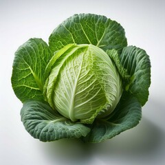 Obraz premium Cabbage slaiz white background