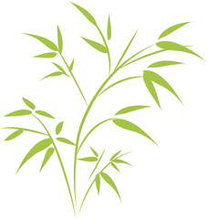 Fototapeta premium Bamboo icon 