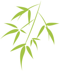 Bamboo icon
