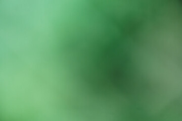 green background, out of focus 