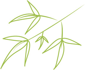 Fototapeta premium Bamboo icon 