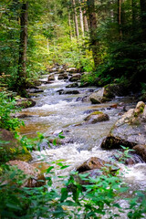 Obraz premium Hiking along Otterbach in the Otterbach Valley in the Bavarian Forests. Germany.