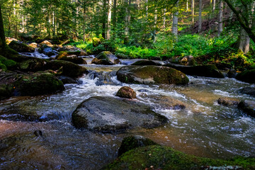 Hiking along Otterbach in the Otterbach Valley in the Bavarian Forests. Germany.