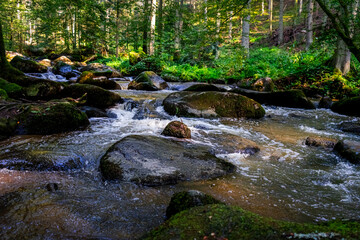 Hiking along Otterbach in the Otterbach Valley in the Bavarian Forests. Germany.
