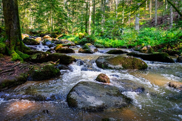 Obraz premium Hiking along Otterbach in the Otterbach Valley in the Bavarian Forests. Germany.