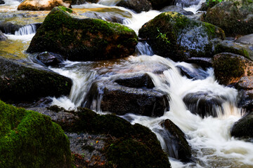 Hiking along Otterbach in the Otterbach Valley in the Bavarian Forests. Germany.