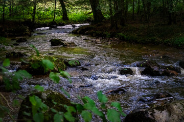 Hiking along Otterbach in the Otterbach Valley in the Bavarian Forests. Germany.