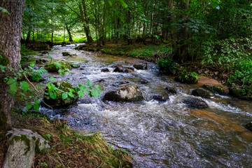 Hiking along Otterbach in the Otterbach Valley in the Bavarian Forests. Germany.