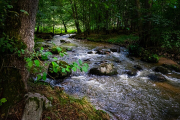 Hiking along Otterbach in the Otterbach Valley in the Bavarian Forests. Germany.