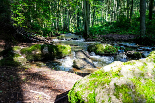 Hiking along Otterbach in the Otterbach Valley in the Bavarian Forests. Germany.