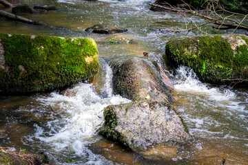 Fototapeta premium Hiking along Otterbach in the Otterbach Valley in the Bavarian Forests. Germany.