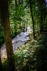 Obraz premium Hiking along Otterbach in the Otterbach Valley in the Bavarian Forests. Germany.