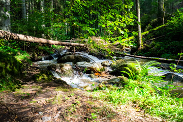 Hiking along Otterbach in the Otterbach Valley in the Bavarian Forests. Germany.