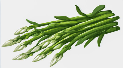Fototapeta premium A cluster of vibrant green asparagus stalks with white tips, illustrated in a cartoon style on a clean white background