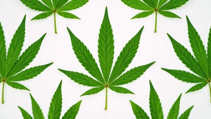 Marijuana-themed seamless pattern showcasing cannabis leaves as its central motif