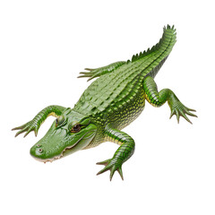Fototapeta premium Green crocodile illustration. isolated on white background.