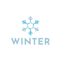 Winter snowflake logo. Snowflake logo illustration.