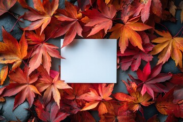 Obraz premium White card surrounded by scattered red maple leaves, blending clean minimalism with autumnal charm,