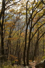 남해 금산 보리암 다랭이 마을