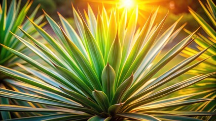 Fototapeta premium Sunlight illuminates the vibrant green leaves of a tropical plant, creating a breathtaking display of nature's artistry.