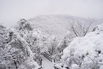 용마산 설산, 망우산 설산, 첫눈