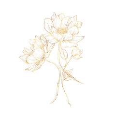 Golden flowers, Line art, Bouquet of flowers, can be used as greeting card, invitation card for wedding, birthday and other holiday and summer background