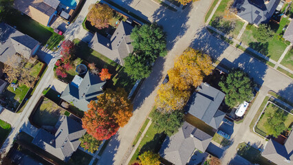 Fototapeta premium Suburban houses backyard with trampoline, swimming pool, colorful fall foliage leaves in upscale residential area, Coppell, suburbs Dallas Fort Worth metroplex, fast growing housing market, aerial