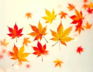 Obraz premium Falling autumn leaves, including orange, red, and yellow maple leaves, on a white background