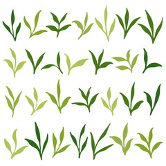 Obraz premium Set of different branches with leaves. Flat vector illustration.