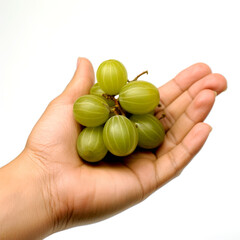 Hand holding a bunch of fresh gooseberries.