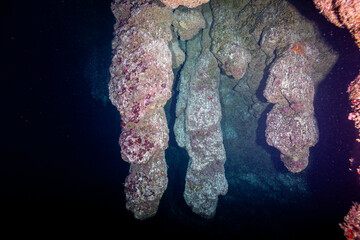 Belize Barrier Reef, the second largest coral reef system in the world, Stalactites inside the Blue...