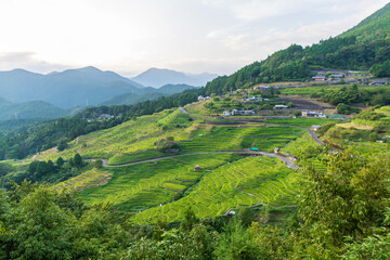 Obraz premium 棚田が広がる美しい山里の風景