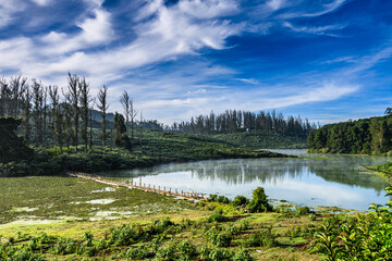 Fototapeta premium landscape
