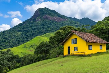 Obraz premium A Brazilian farmer picking fresh produce in a bountiful field, with the vibrant landscape of Brazil countryside creating a serene agricultural backdrop
