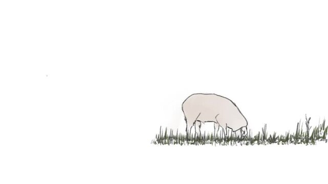 Anima&ccedil;&atilde;o Ovelha Rotoscopia