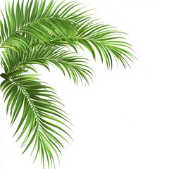 Obraz premium Palm leaves corner border cutout, isolated on a clean white background, showcasing the vibrant green foliage and tropical elegance for decorative and design use.