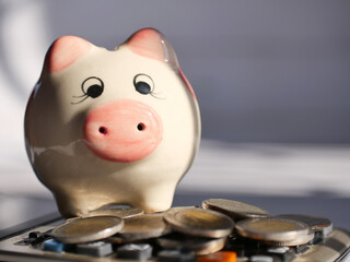 A lot of coins and piggy bank in the concept of saving money and finance.Selection focus.
