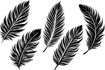 Obraz premium feather Soft plume Silhouette Vector Illustration