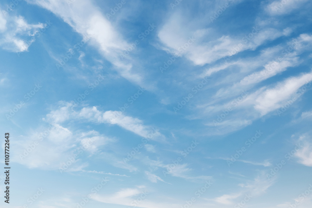 Canvas Prints sky is blue and clear with no clouds
