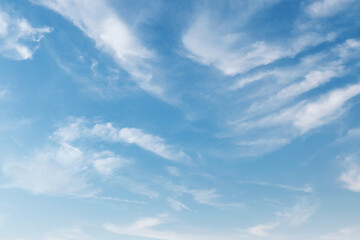 Fototapeta premium sky is blue and clear with no clouds