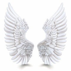 Fototapeta premium Wings icon, angel wings emblem, bird feathers silhouette, pigeon sign, spirituality symbol, elegance flight
