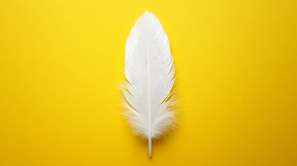 Naklejka premium Delicate white feather on vibrant yellow background