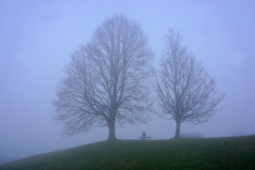  Nebel auf dem Jusi;  Schw&auml;bische Alb