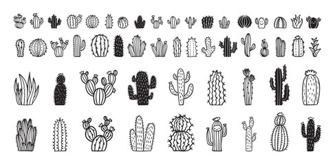 Hand drawn cactus icons. cacti doodle set. Cute sketch cactus collection. © Yanka