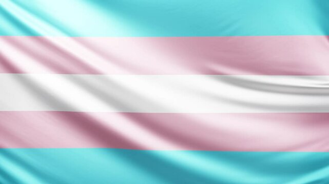 trans flag video, close-up shot of transgender people, pride flag, lgbtq, queer comunity, animated flag background video, 3D video of a flag