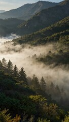 Misty mountain beauty unfolding.
