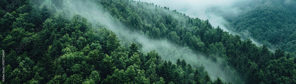 Aufkleber A lush green forest shrouded in mist, creating a serene and tranquil atmosphere with layers of trees and soft fog.