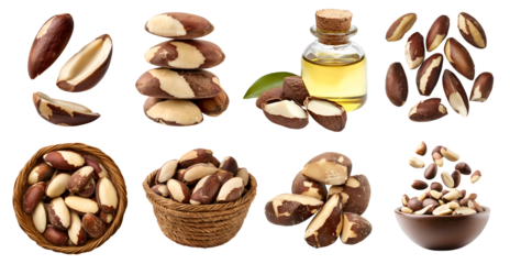 Brazil nut seed fruit, many angles view side top pile heap stack, basket, fly scattered, essential oil isolated on transparent background cutout, PNG. Mockup template for design