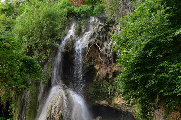 Obraz premium waterfall in the forest
