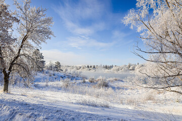 Obraz premium White Winter Scene on a Hoar Frost Day in Saskatoon